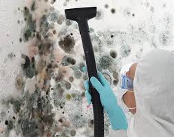 Mold Remediation for Rental Properties in Cashton, WI